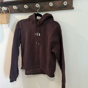 The North Face Chocolate Hoodie